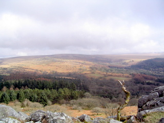 2006-03-29-15-19-31_leathertor_combshead_nunscross-009_nunscross_leather_combshead.jpg 2006-03-29-15-19-31_leathertor_combshead_nunscross-009_nunscross_leather_combshead.jpg nunscross_leather_combshead