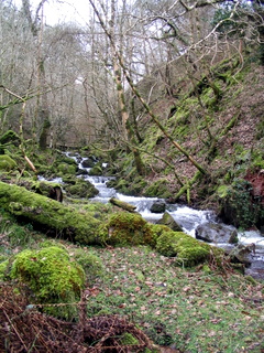 2006-04-02-11-12-16_horner_stoke_pero_crawter-002_horner_stoke_pero_luckott.jpg 2006-04-02-11-12-16_horner_stoke_pero_crawter-002_horner_stoke_pero_luckott.jpg horner_stoke_pero_luckott