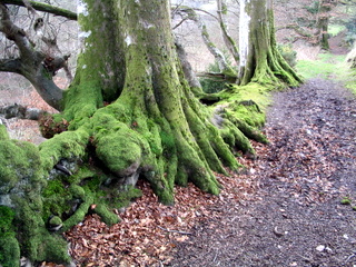 2006-04-02-14-17-29_horner_stoke_pero_crawter-009_horner_stoke_pero_luckott.jpg 2006-04-02-14-17-29_horner_stoke_pero_crawter-009_horner_stoke_pero_luckott.jpg horner_stoke_pero_luckott