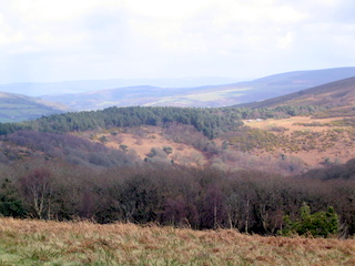 2006-04-02-14-52-28_horner_stoke_pero_crawter-014_horner_stoke_pero_luckott.jpg 2006-04-02-14-52-28_horner_stoke_pero_crawter-014_horner_stoke_pero_luckott.jpg horner_stoke_pero_luckott