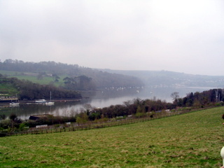 2006-04-23-11-12-13_brixam_greenway-001_galmpton_greenway_brixham.jpg  galmpton_greenway_brixham 