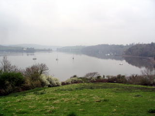2006-04-23-11-22-19_brixam_greenway-003_galmpton_greenway_brixham.jpg  galmpton_greenway_brixham 
