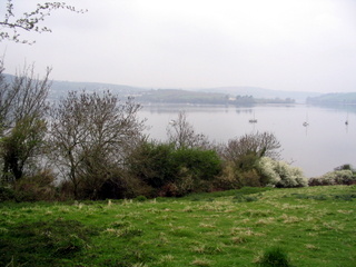 2006-04-23-11-22-27_brixam_greenway-004_galmpton_greenway_brixham.jpg  galmpton_greenway_brixham 