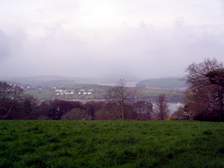 2006-04-23-11-55-46_brixam_greenway-005_galmpton_greenway_brixham.jpg  galmpton_greenway_brixham 