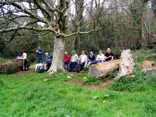 2006-04-23-12-02-41_brixam_greenway-006_galmpton_greenway_brixham.jpg  galmpton_greenway_brixham 