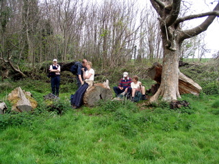 2006-04-23-12-02-46_brixam_greenway-007_galmpton_greenway_brixham.jpg  galmpton_greenway_brixham 