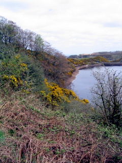 2006-04-26-12-59-19_okehampton_meldon-005_okehampton_meldon_reservoir.jpg 2006-04-26-12-59-19_okehampton_meldon-005_okehampton_meldon_reservoir.jpg okehampton_meldon_reservoir