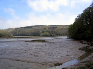 2006-05-03-14-33-21_flete-estate-009_holberton_flete_erme_mouth.jpg 2006-05-03-14-33-21_flete-estate-009_holberton_flete_erme_mouth.jpg holberton_flete_erme_mouth