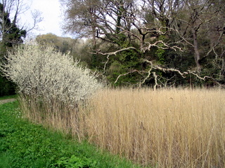 2006-05-03-14-48-51_flete-estate-011_holberton_flete_erme_mouth.jpg 2006-05-03-14-48-51_flete-estate-011_holberton_flete_erme_mouth.jpg holberton_flete_erme_mouth