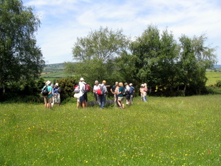 2006-06-04-13-19-45_ilsington_ramshorn_down-002_ilsington_liverton_ramshorn_sigford.jpg  ilsington_liverton_ramshorn_sigford 