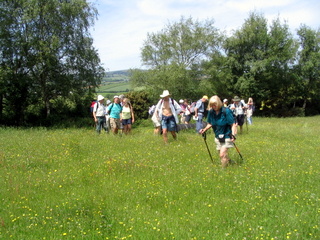 2006-06-04-13-19-54_ilsington_ramshorn_down-003_ilsington_liverton_ramshorn_sigford.jpg  ilsington_liverton_ramshorn_sigford 