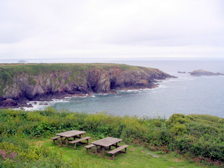 2006-06-19-11-04-53_pembroke_june_2006-176_pembroke_coast_st_davids_newgale.jpg  pembroke_coast_st_davids_newgale 