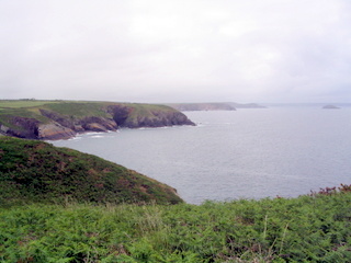 2006-06-19-11-23-25_pembroke_june_2006-178_pembroke_coast_st_davids_newgale.jpg  pembroke_coast_st_davids_newgale 