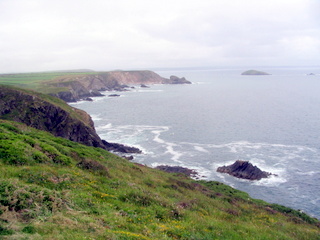 2006-06-19-11-54-46_pembroke_june_2006-181_pembroke_coast_st_davids_newgale.jpg  pembroke_coast_st_davids_newgale 