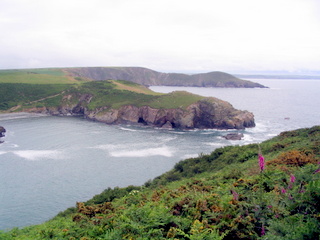 2006-06-19-12-47-40_pembroke_june_2006-191_pembroke_coast_st_davids_newgale.jpg  pembroke_coast_st_davids_newgale 