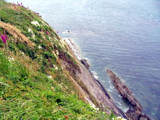 2006-06-20-11-51-43_pembroke_june_2006-219_pembroke_coast_whitesands_bay_st_davids.jpg  pembroke_coast_whitesands_bay_st_davids 