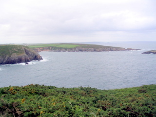 2006-06-20-13-26-54_pembroke_june_2006-227_pembroke_coast_whitesands_bay_st_davids.jpg  pembroke_coast_whitesands_bay_st_davids 