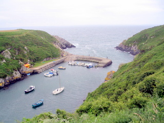 2006-06-20-14-19-13_pembroke_june_2006-231_pembroke_coast_whitesands_bay_st_davids.jpg  pembroke_coast_whitesands_bay_st_davids 
