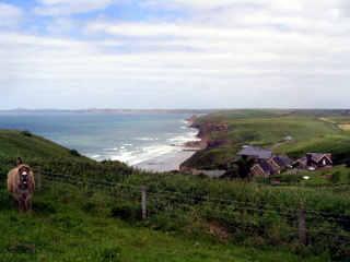 2006-06-21-12-42-21_pembroke_june_2006-071_pembroke_coast_newgale_broad_haven.jpg  pembroke_coast_newgale_broad_haven 