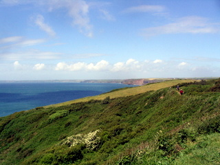 2006-06-21-14-53-11_pembroke_june_2006-083_pembroke_coast_newgale_broad_haven.jpg  pembroke_coast_newgale_broad_haven 