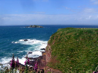 2006-06-21-16-22-21_pembroke_june_2006-098_pembroke_coast_newgale_broad_haven.jpg  pembroke_coast_newgale_broad_haven 