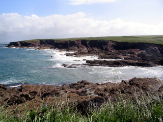 2006-06-22-10-25-33_pembroke_june_2006-103_pembroke_coast_st_brides_marloes_dale.jpg  pembroke_coast_st_brides_marloes_dale 