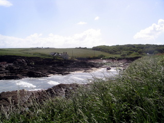 2006-06-22-10-25-38_pembroke_june_2006-104_pembroke_coast_st_brides_marloes_dale.jpg  pembroke_coast_st_brides_marloes_dale 