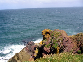 2006-06-22-10-34-26_pembroke_june_2006-105_pembroke_coast_st_brides_marloes_dale.jpg  pembroke_coast_st_brides_marloes_dale 
