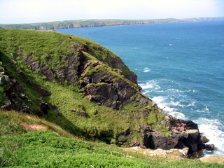 2006-06-22-10-47-01_pembroke_june_2006-110_pembroke_coast_st_brides_marloes_dale.jpg  pembroke_coast_st_brides_marloes_dale 