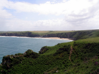 2006-06-22-11-48-29_pembroke_june_2006-119_pembroke_coast_st_brides_marloes_dale.jpg  pembroke_coast_st_brides_marloes_dale 
