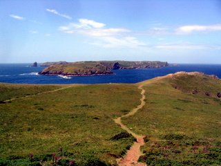 2006-06-22-12-31-33_pembroke_june_2006-123_pembroke_coast_st_brides_marloes_dale.jpg  pembroke_coast_st_brides_marloes_dale 