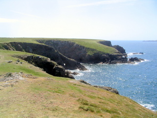 2006-06-22-12-39-42_pembroke_june_2006-124_pembroke_coast_st_brides_marloes_dale.jpg  pembroke_coast_st_brides_marloes_dale 