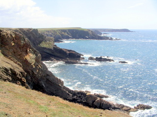 2006-06-22-12-53-22_pembroke_june_2006-127_pembroke_coast_st_brides_marloes_dale.jpg  pembroke_coast_st_brides_marloes_dale 