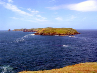 2006-06-22-12-53-28_pembroke_june_2006-128_pembroke_coast_st_brides_marloes_dale.jpg  pembroke_coast_st_brides_marloes_dale 