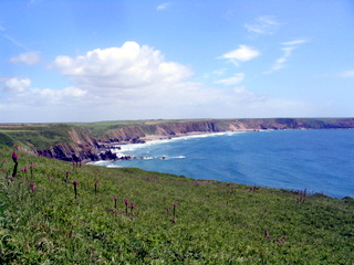 2006-06-22-14-06-23_pembroke_june_2006-137_pembroke_coast_st_brides_marloes_dale.jpg  pembroke_coast_st_brides_marloes_dale 