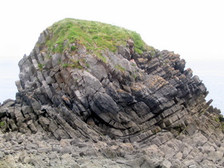 2006-06-23-13-08-38_pembroke_june_2006-020_pembroke_coast_bosherston_manorbier.jpg  pembroke_coast_bosherston_manorbier 