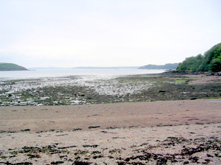 2006-06-24-10-39-04_pembroke_june_2006-041_pembroke_coast_dale_milford_haven.jpg  pembroke_coast_dale_milford_haven 