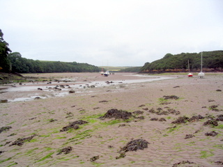 2006-06-24-12-53-27_pembroke_june_2006-060_pembroke_coast_dale_milford_haven.jpg  pembroke_coast_dale_milford_haven 