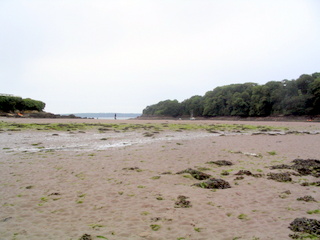 2006-06-24-12-53-37_pembroke_june_2006-061_pembroke_coast_dale_milford_haven.jpg  pembroke_coast_dale_milford_haven 