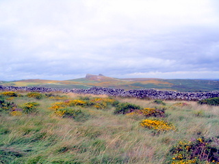 2006-08-20-11-44-58_bagto_rippontor_holwell-001_haytor_holwell_circuit.jpg 2006-08-20-11-44-58_bagto_rippontor_holwell-001_haytor_holwell_circuit.jpg haytor_holwell_circuit