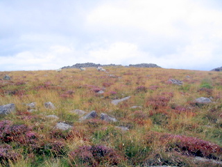 2006-08-20-12-03-45_bagto_rippontor_holwell-002_haytor_holwell_circuit.jpg 2006-08-20-12-03-45_bagto_rippontor_holwell-002_haytor_holwell_circuit.jpg haytor_holwell_circuit