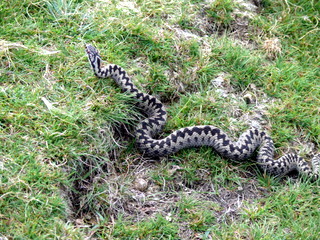 2006-09-21-12-22-24_p1000077_bonehill_hameldown_grimspound.jpg  bonehill_hameldown_grimspound 