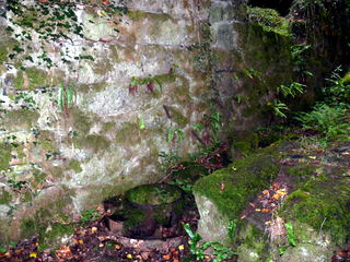 2006-09-24-12-47-58_p1000089_mortonhampstead_fingle_wooston.jpg 2006-09-24-12-47-58_p1000089_mortonhampstead_fingle_wooston.jpg mortonhampstead_fingle_wooston