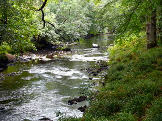 2006-09-24-13-31-35_p1000090_mortonhampstead_fingle_wooston.jpg 2006-09-24-13-31-35_p1000090_mortonhampstead_fingle_wooston.jpg mortonhampstead_fingle_wooston