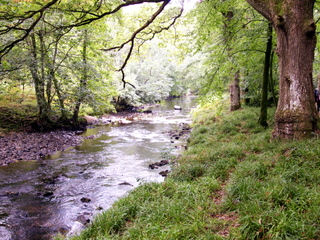 2006-09-24-13-31-43_stream-fingle-brisge-p1000091_mortonhampstead_fingle_wooston.jpg 2006-09-24-13-31-43_stream-fingle-brisge-p1000091_mortonhampstead_fingle_wooston.jpg mortonhampstead_fingle_wooston