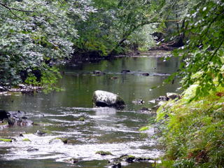 2006-09-24-13-31-56_p1000092_mortonhampstead_fingle_wooston.jpg 2006-09-24-13-31-56_p1000092_mortonhampstead_fingle_wooston.jpg mortonhampstead_fingle_wooston