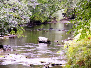 2006-09-24-13-31-56_stone-in-stream-p1000092_mortonhampstead_fingle_wooston.jpg 2006-09-24-13-31-56_stone-in-stream-p1000092_mortonhampstead_fingle_wooston.jpg mortonhampstead_fingle_wooston