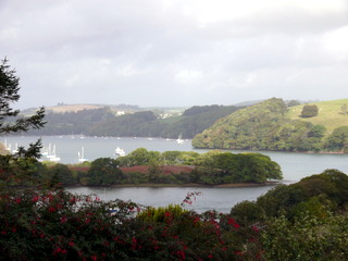 2006-10-01-10-32-28_p1000107_dittisham_cornworthy_captan.jpg 2006-10-01-10-32-28_p1000107_dittisham_cornworthy_captan.jpg dittisham_cornworthy_captan