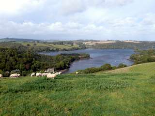 2006-10-01-15-22-40_p1000125_dittisham_cornworthy_captan.jpg 2006-10-01-15-22-40_p1000125_dittisham_cornworthy_captan.jpg dittisham_cornworthy_captan