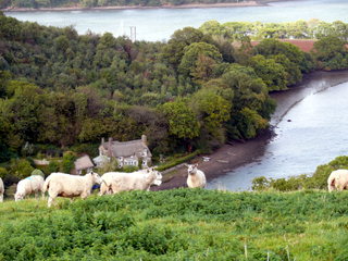 2006-10-01-15-23-25_p1000128_dittisham_cornworthy_captan.jpg 2006-10-01-15-23-25_p1000128_dittisham_cornworthy_captan.jpg dittisham_cornworthy_captan